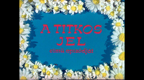 A titkos jel