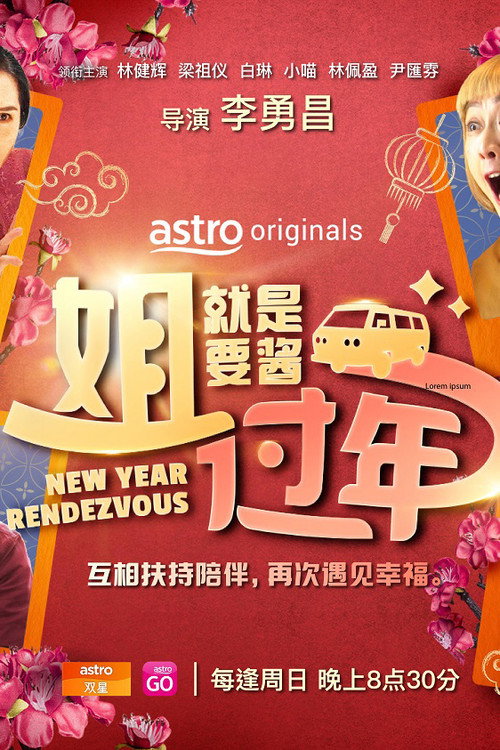 姐就是要酱过年电影海报