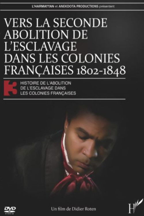 Vers la seconde abolition de l'esclavage dans les colonies françaises de 1802 à 1848