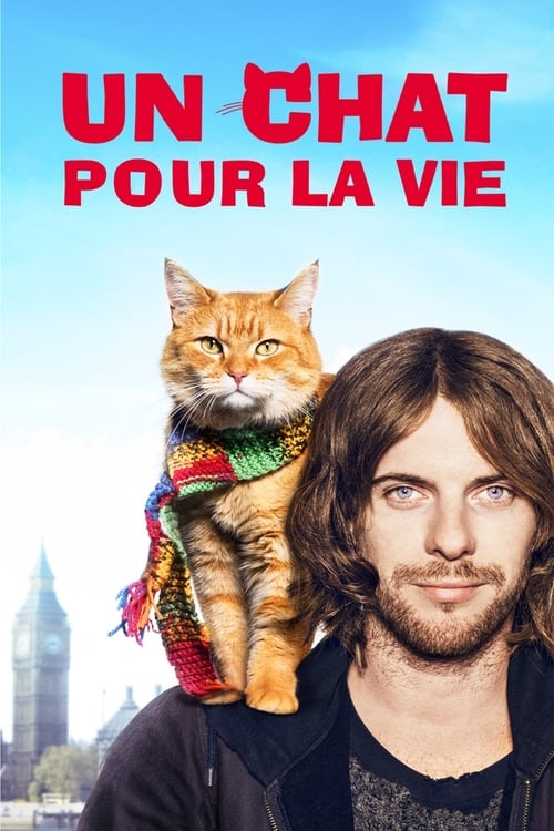 Un chat pour la vie (2016) Film complet HD Anglais Sous-titre