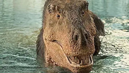Dino Deep End