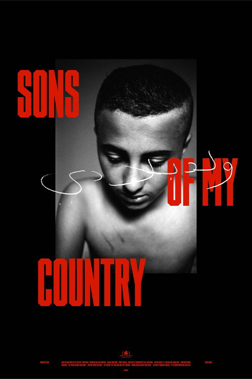 Sons of My Country poster 2