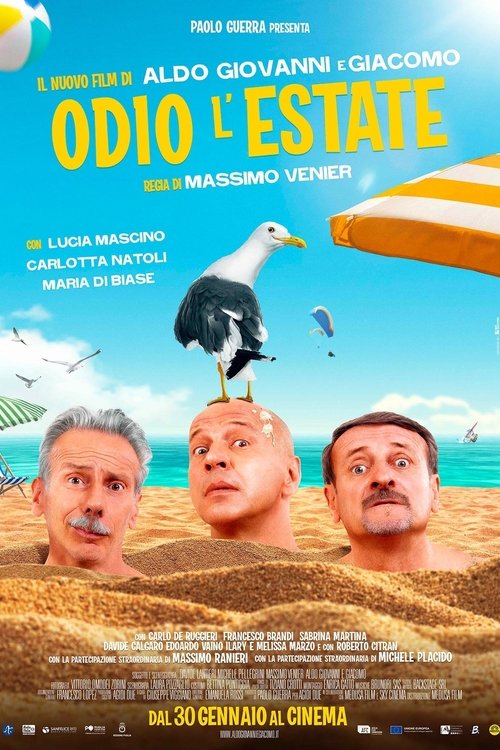 Odio l'estate (2020) Ver Pelicula Completa Streaming Online