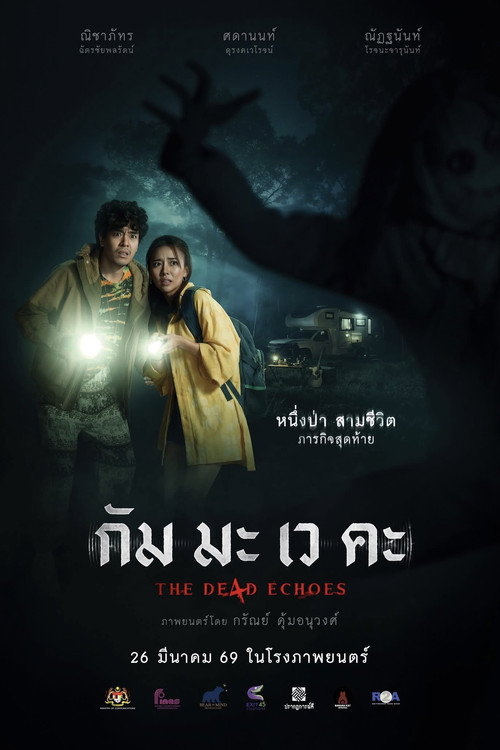 The De4d Echoes poster 6