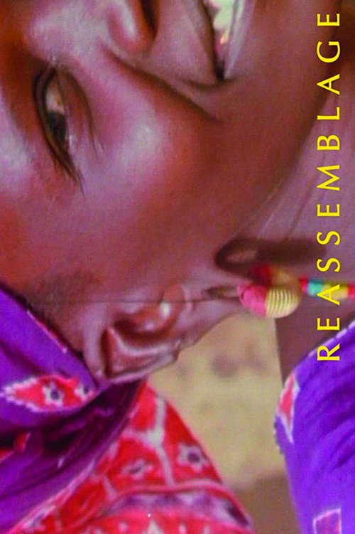 Reassemblage: From the Firelight to the Screen poster 4