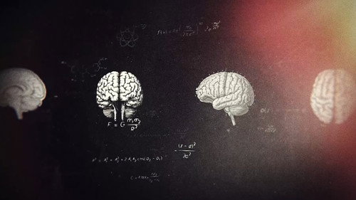 Episode 6 | Easy Ways to Improve Your Brain!