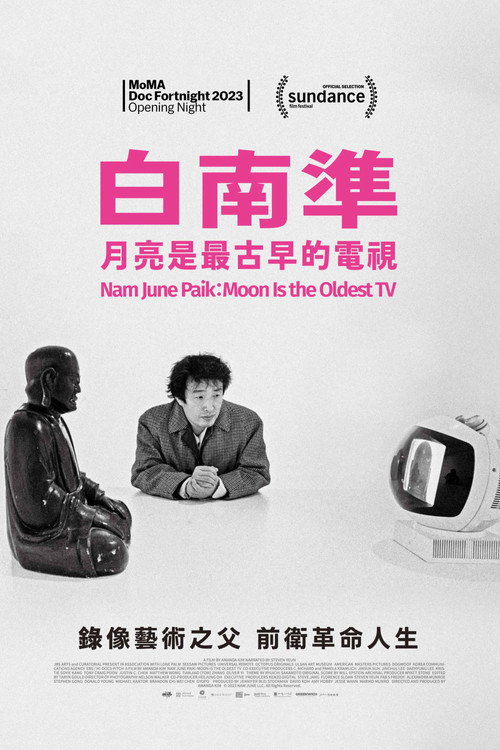 白南准：月亮是最古老的电视电影海报