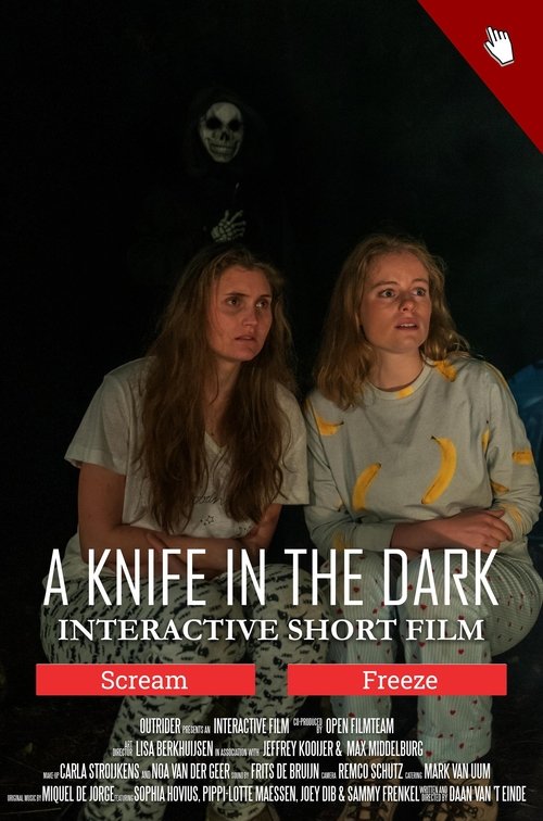 A Knife in the Dark Poster