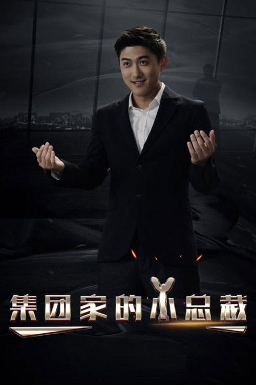 集团家的小总裁电影海报