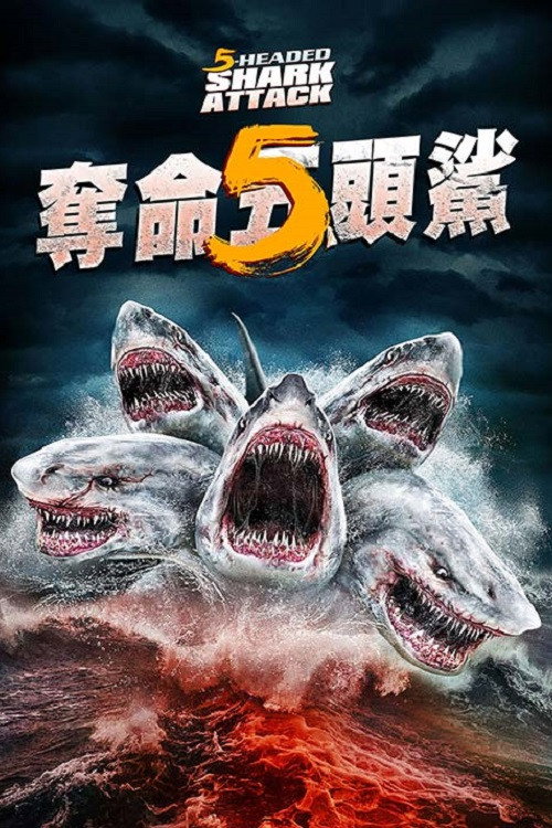 夺命五头鲨电影海报