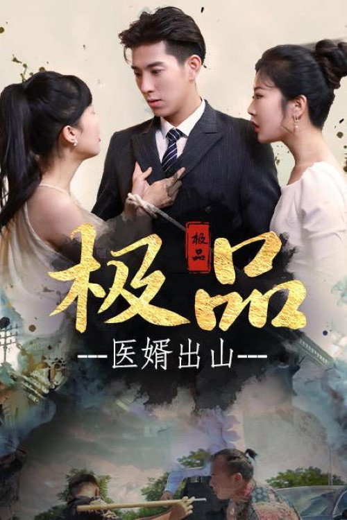 极品医婿出山电影海报