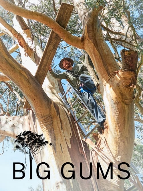 Big Gums Poster