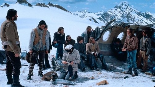 ¡Viven! (1993)