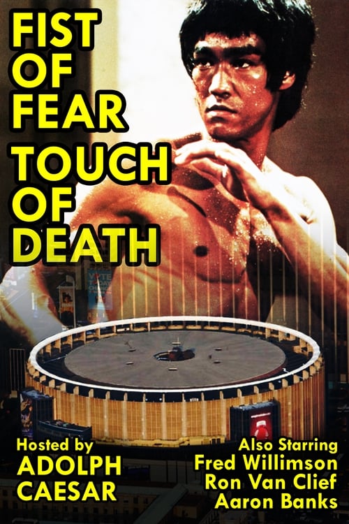 Fist of Fear, Touch of Death 1980