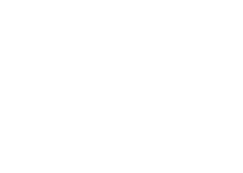 Chicken Run Dawn of the Nugget