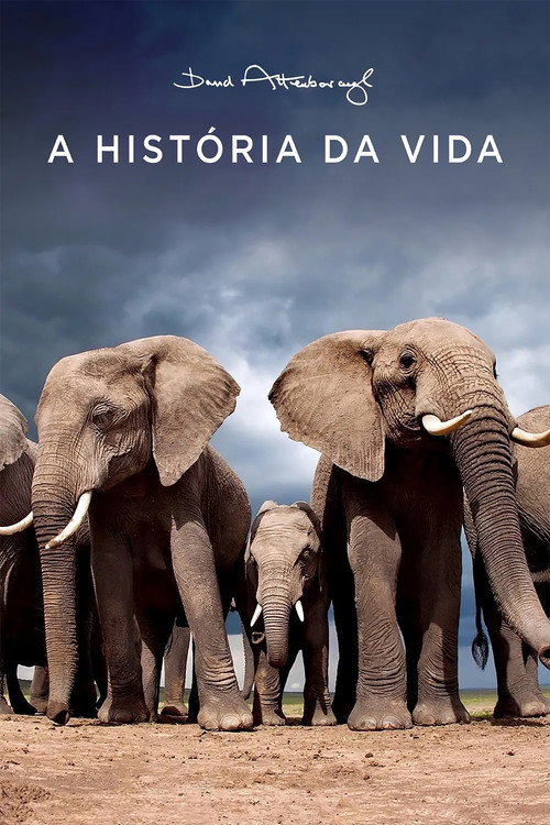 A História da Vida