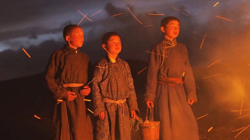 Цурцула (2019) Watch Full Movie Streaming Online