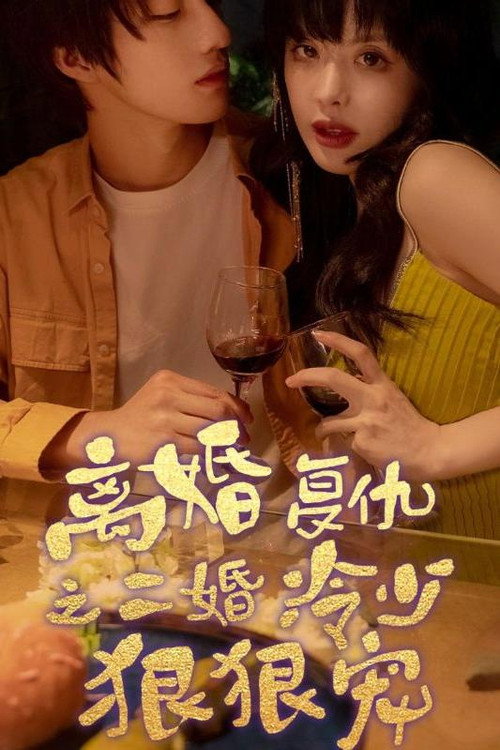 离婚复仇之二婚冷少狠狠宠电影海报
