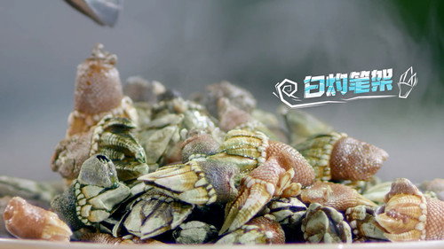 开动吧！海鲜第1季第1集