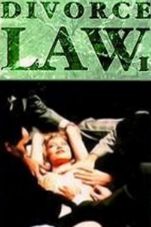 Divorce Law poster 2