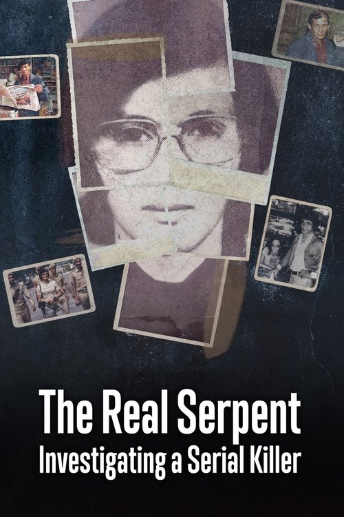 Poster of The Real Serpent: Investigating a Serial Killer
