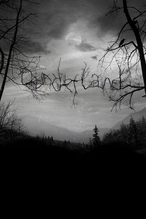 Dunderland Poster