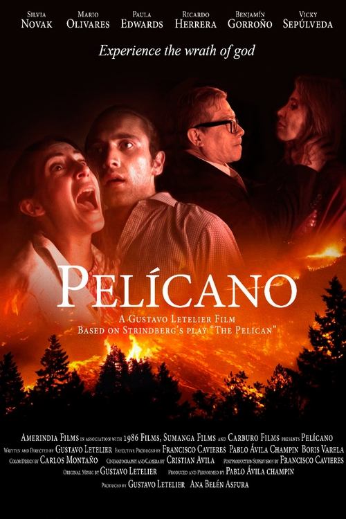 Pelícano Poster