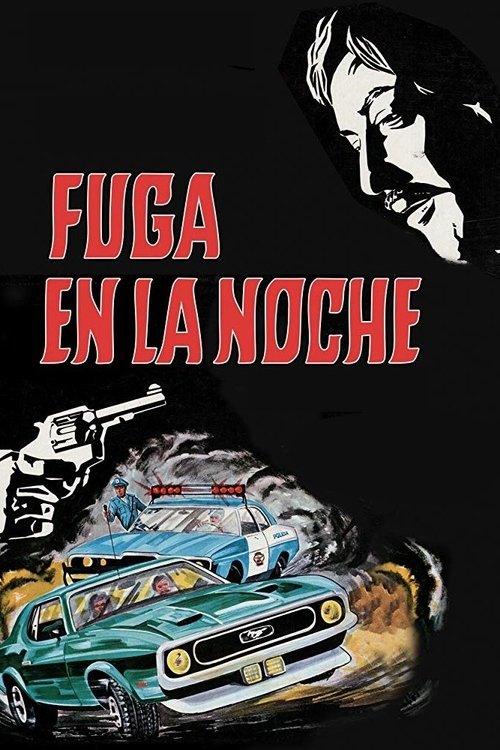 Fuga en la noche Poster