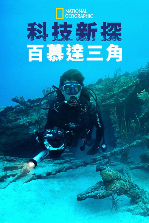 Drain the Bermuda Triangle电影海报