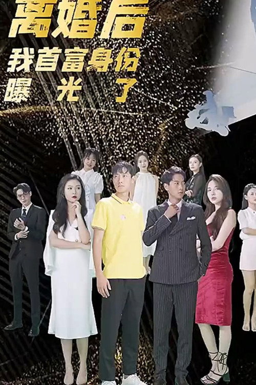 离婚后，我首富的身份曝光了电影海报