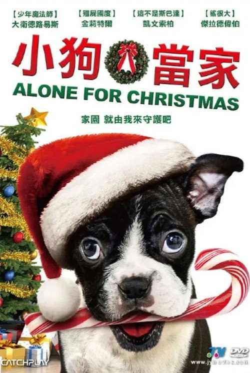 Bone Alone电影海报