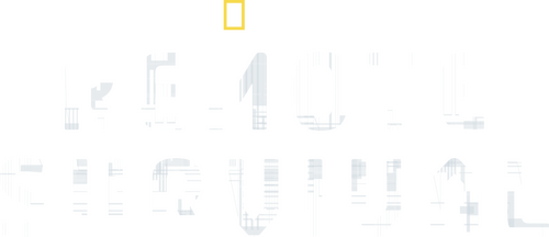 movies