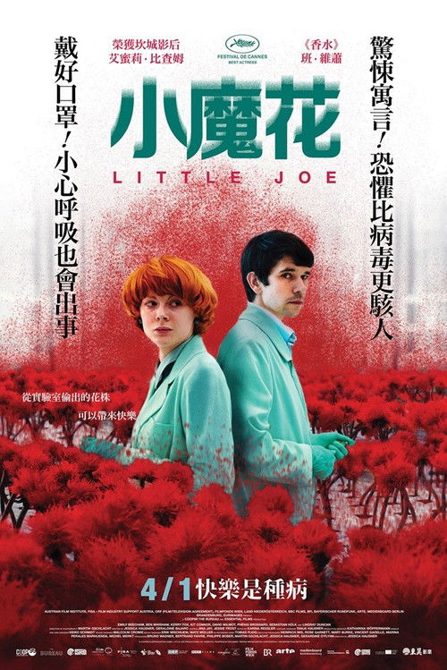 小小乔电影海报