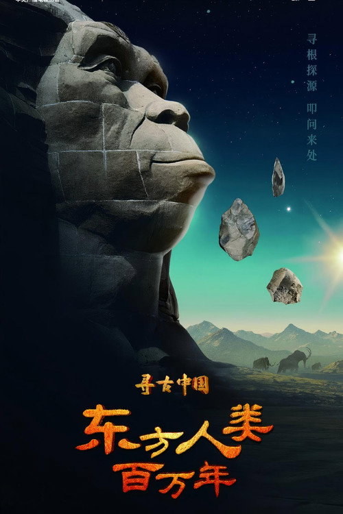 寻古中国&middot;东方人类百万年电影海报