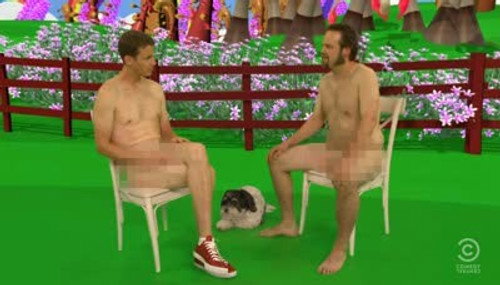 The Naked Wizard