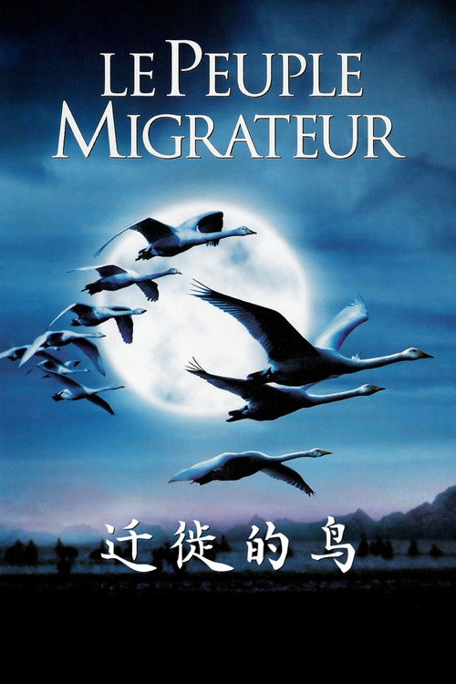 迁徙的鸟电影海报