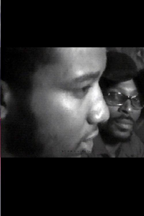 Fred Hampton: Black Panthers in Chicago Poster