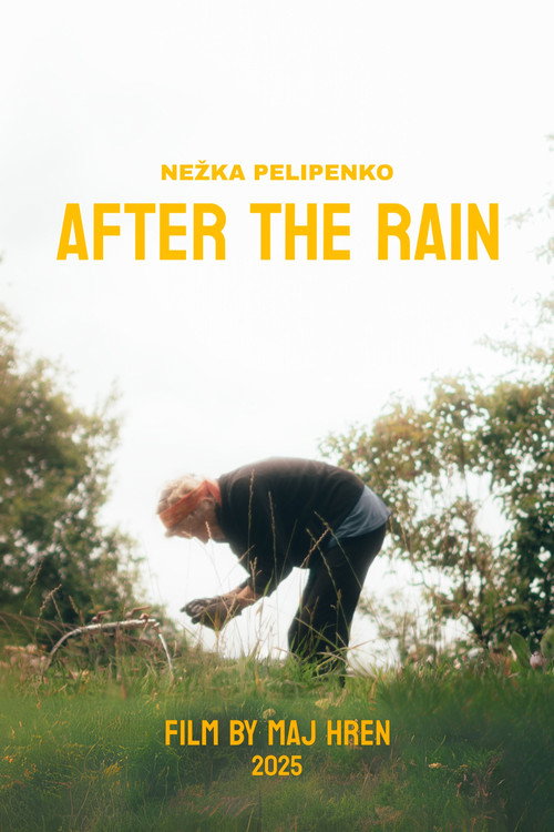 After The Rain