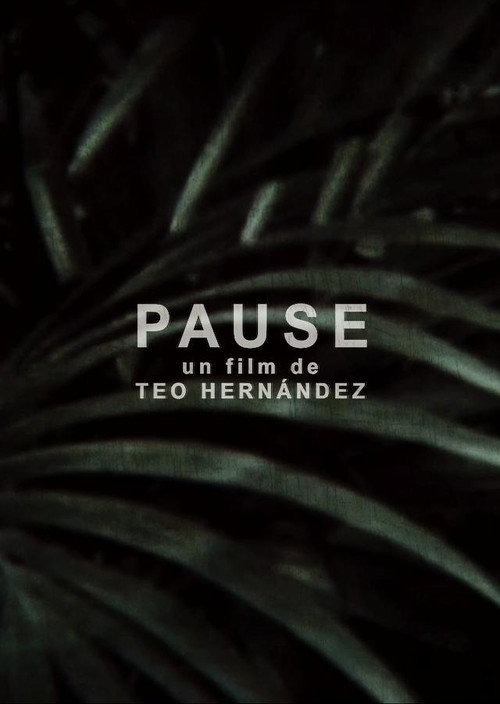 Pause poster 2