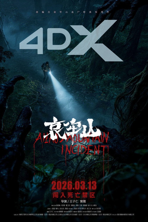 哀牢山 poster 4
