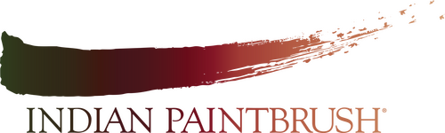 Indian Paintbrush Logo