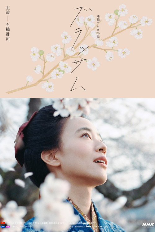 ブラッサム