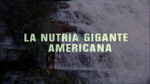The Giant Otter