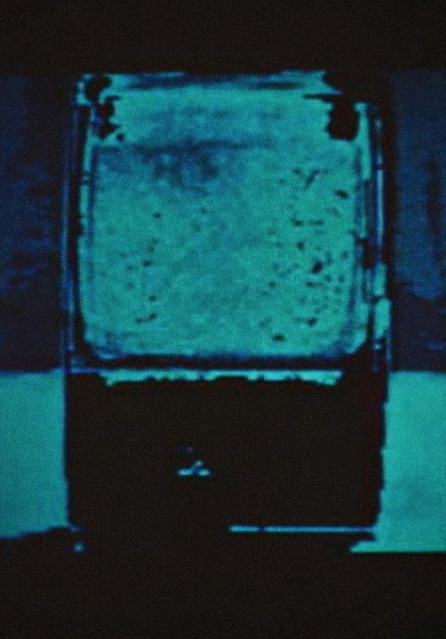 Delight (1975)