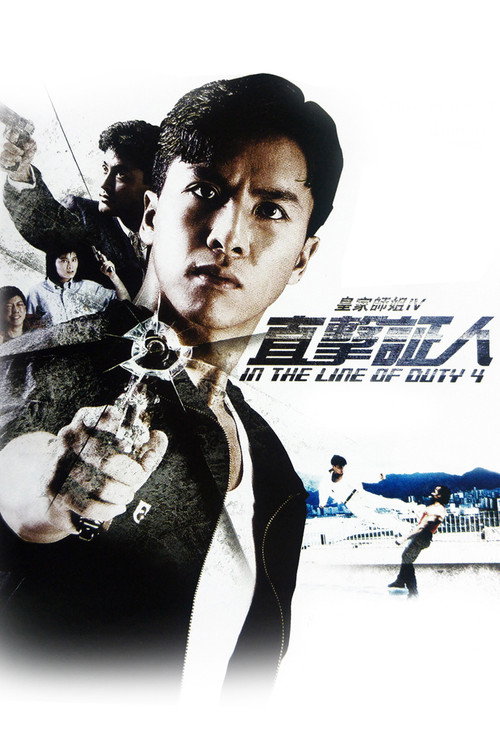 皇家师姐4：直击证人电影海报