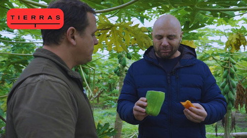Episode 5