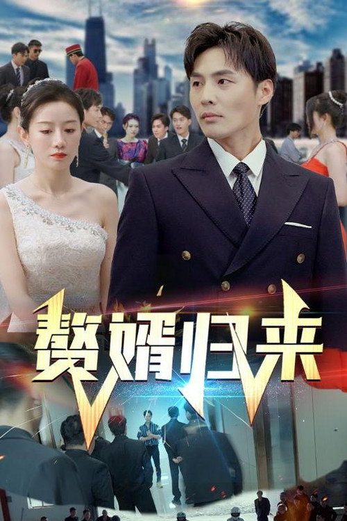 赘婿归来电影海报