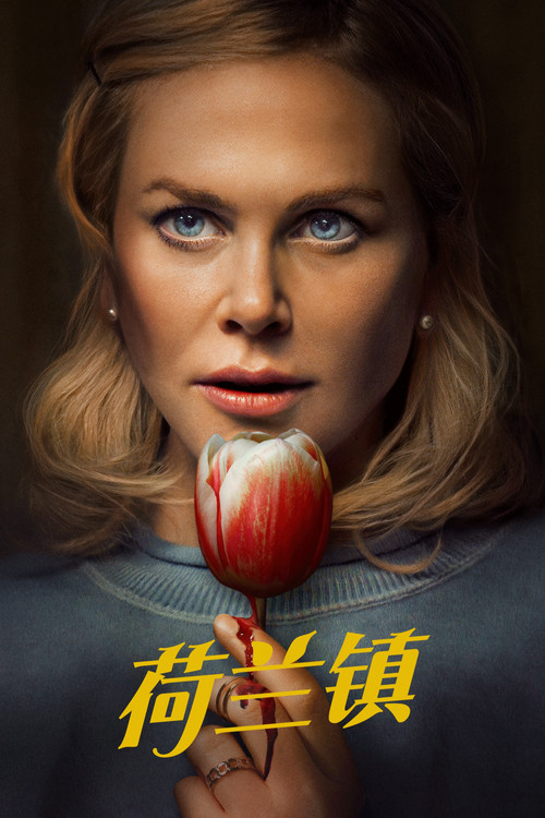 荷兰镇电影海报