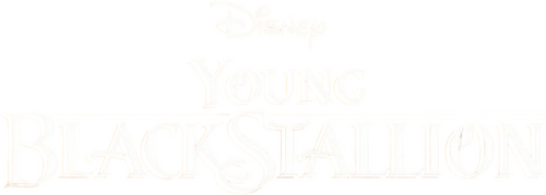 Young Black Stallion Logo