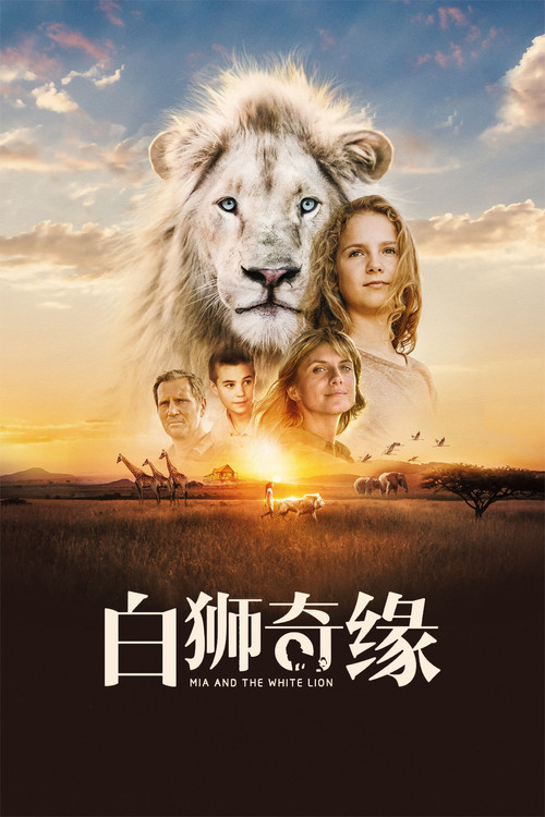 白狮奇缘电影海报